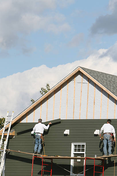 Best Stone Veneer Siding  in Wapello, IA